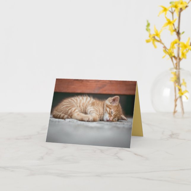 Carte Kitten Love (Fleur jaune)