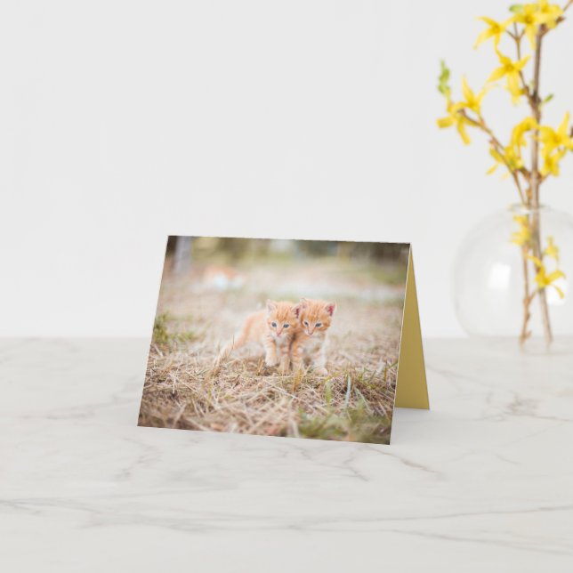 Carte Kitten Love (Fleur jaune)