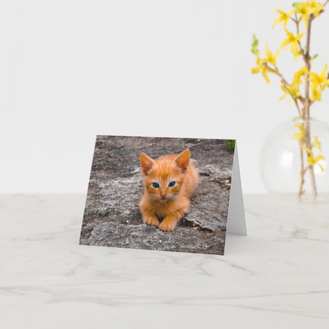 Carte Kitten Love (Fleur jaune)