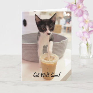 Carte Kitten sur café