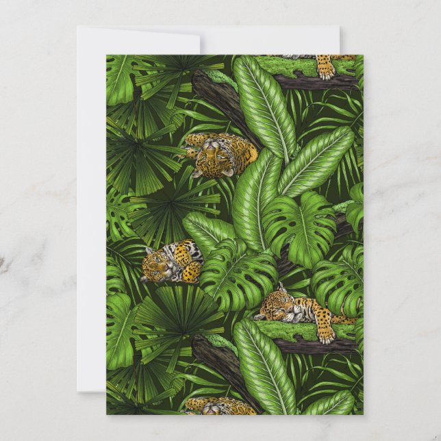 Carte Kittés de la jungle (Devant)