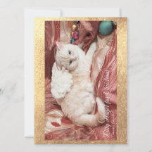 Kitty Angel pour Noël