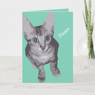 Carte Kitty Big Eyes S'En Sortent Bien