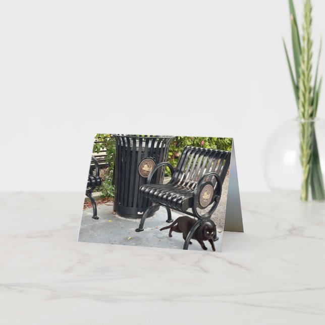 Carte Kitty dans le parc (Devant)