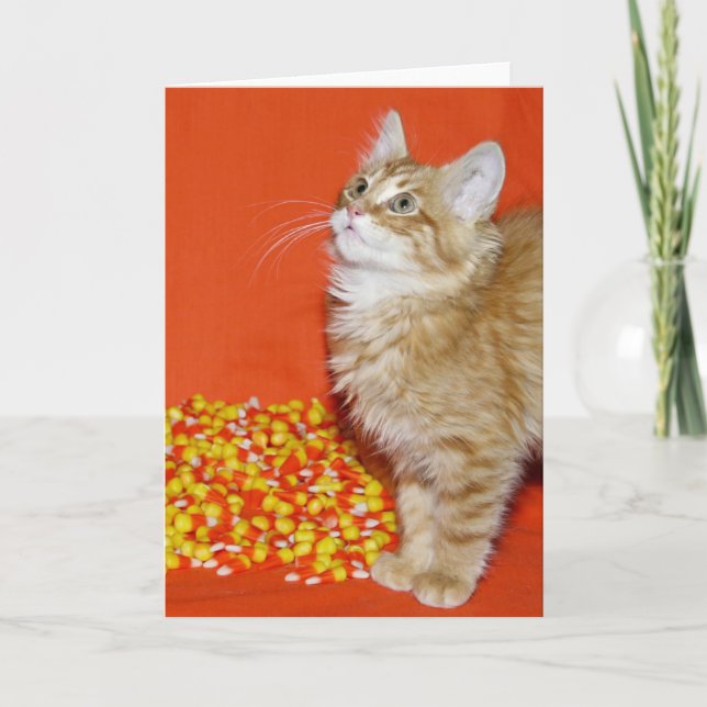 Carte Kitty d'Halloween (Devant)