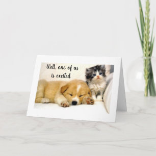 Carte **KITTY** EST EXCITÉE POUR VOTRE **80e ANNIVERSAIR