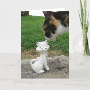 Carte Kitty, Meet Kitty