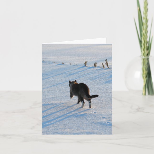Carte Kitty Walking dans Snowy Corn Field Toutes les occ (Devant)