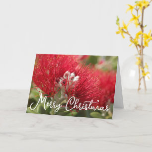 CARTE KIWI POHUTAKAWA XMAS PERSONNALISABLE