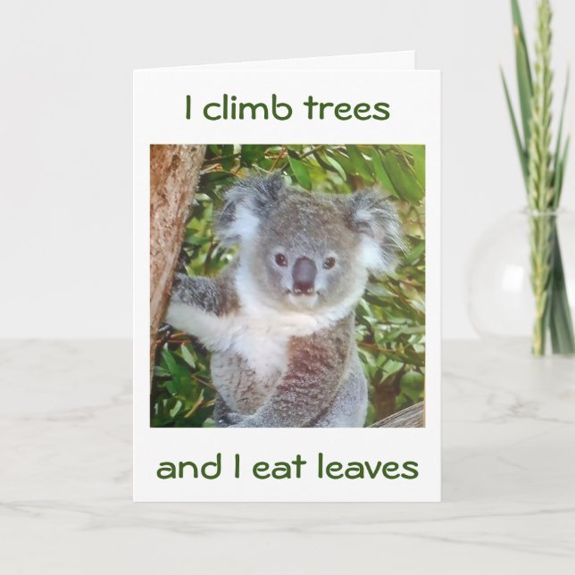CARTE "KOALA BANTHDAY GREETINGS" IL MANGERA DU GÂTEAU PO (Devant)