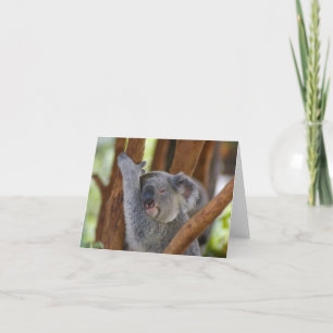 Carte Koala Bear Notecard