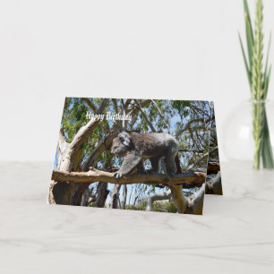 Carte Koala Bear Tight Rope Walker, Anniversaire