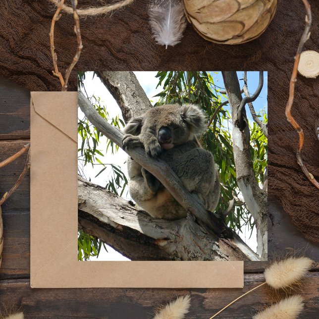 Carte Koala - Dormir (Créateur téléchargé)