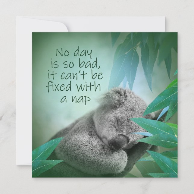 Carte Koala Nap (Devant)