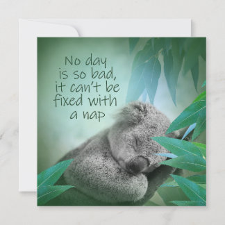 Carte Koala Nap
