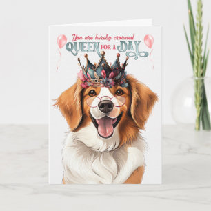 Carte Kooikerhondje Queen pour une journée d'anniversair