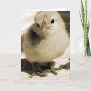 Carte La Chick de Boot