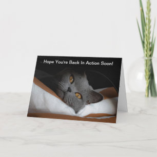 Carte La chirurgie de retour se bien bientôt Gray Chat
