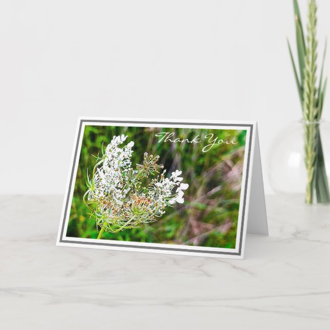 Carte La dentelle blanche de la reine Anne en vert (Devant)