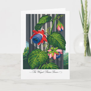 Carte La fleur de la passion ailée Art botanique