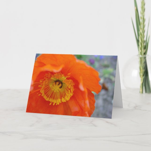 Carte La fleur orange (Devant)