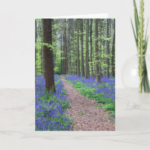 Carte La forêt de Halle Halle, Belgique