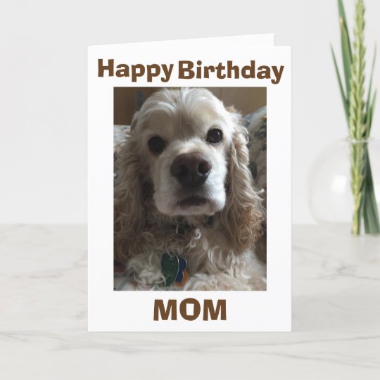 Carte La Maman De Joyeux Anniversaire Dit Ce Cocker Zazzle Ca