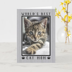 Cartes De Vœux Maman Chat Zazzle Ca