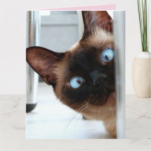 CARTE LA MÈRE'S DAY CUTE PEEKING CAT GREETING CARD