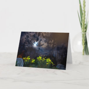 Carte la nuit nous appartient