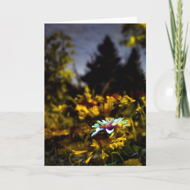 Carte là où les rêves peuvent venir (Devant)