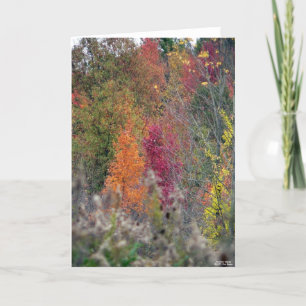 Carte La palette de l'automne