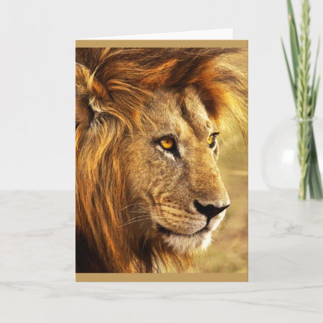 Carte La photo Noble Lion (Devant)