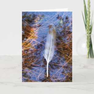 Carte La plume d'Egret