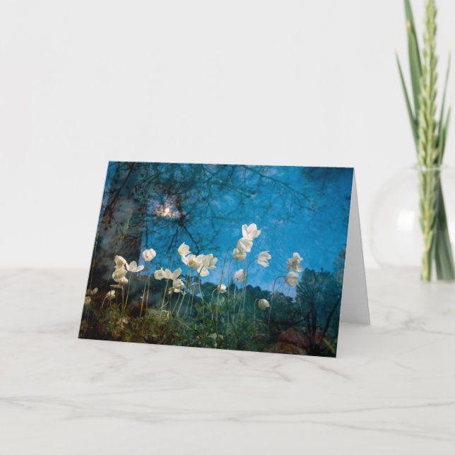 Carte la recherche du printemps (Devant)