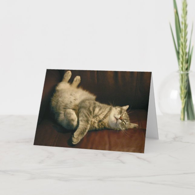 Carte La sieste de chat - à l'extrême (Devant)