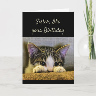 Carte La soeur ne peut pas le cacher est votre chaton