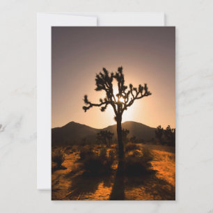 Carte La tombée de la nuit commence à Joshua Tree