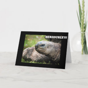 CARTE **LA TORTUE COMIQUE** DIT QUE VOUS N'AVEZ JAMAIS Â