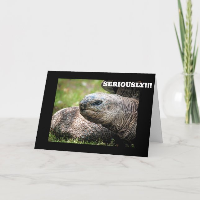CARTE **LA TORTUE COMIQUE** DIT QUE VOUS N'AVEZ JAMAIS Â (Devant)