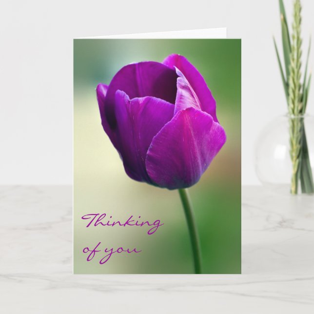 Carte La tulipe pourpre pensant à vous cardent (Devant)