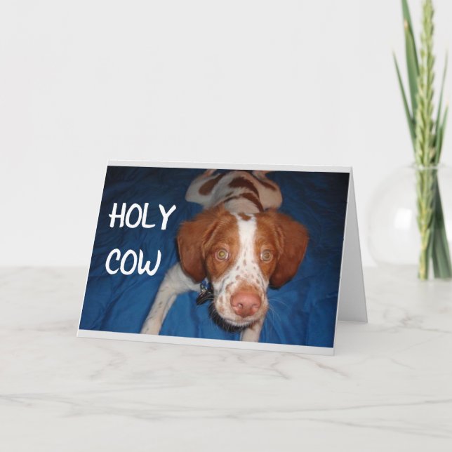 CARTE LA VACHE SAINTE DIT POP "VOUS AVEZ 70 ANS" (Devant)