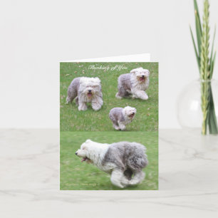 Carte La Vie Arrive !