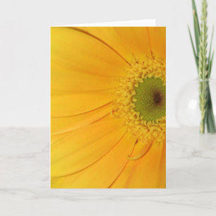 Carte La vie est belle !