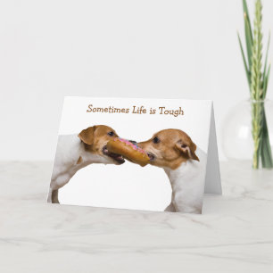 Carte La vie est dure Jack Russell Salutation Terrier