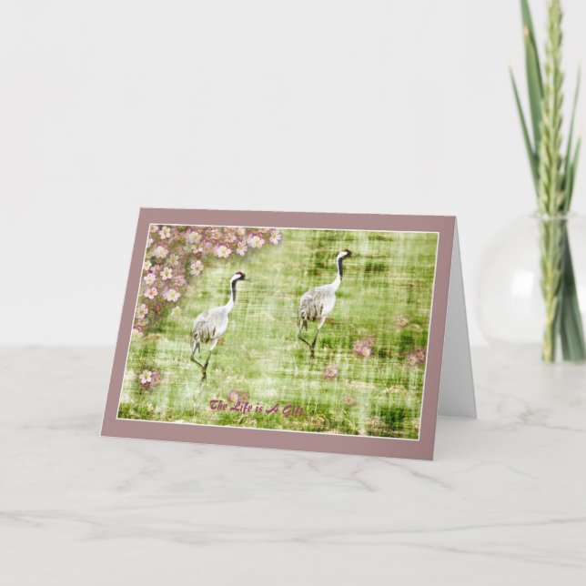 Carte La vie est un cadeau (Devant)