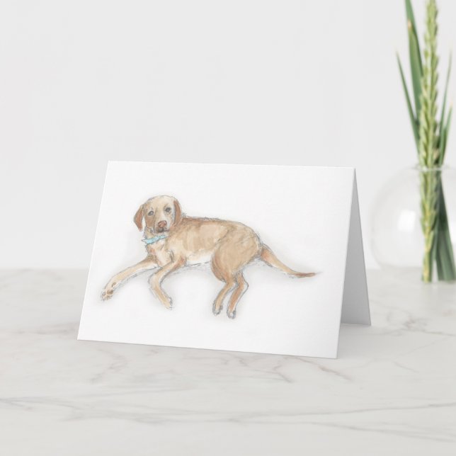 Carte Labrador (Devant)