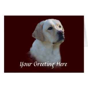 Carte Labrador Retriever