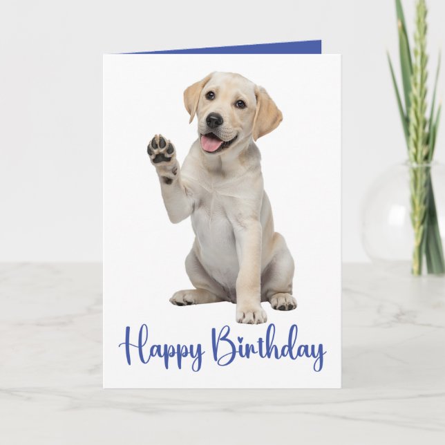 Carte Labrador Retriever Anniversaire Yellow Lab Chien c (Devant)