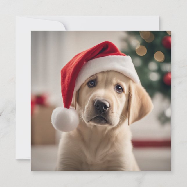 Carte Labrador Retriever Christmas (Devant)